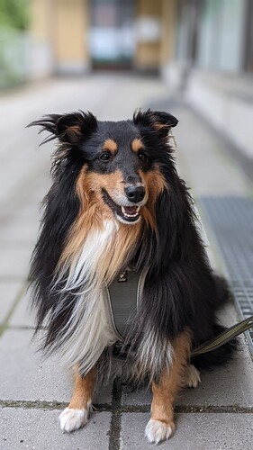 PXL_20210614_181751004.PORTRAIT