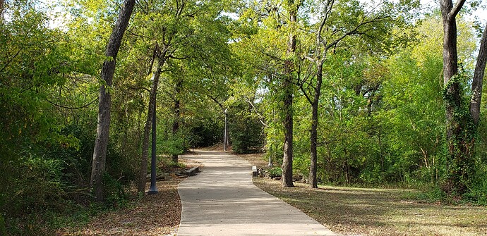 20201101_094659