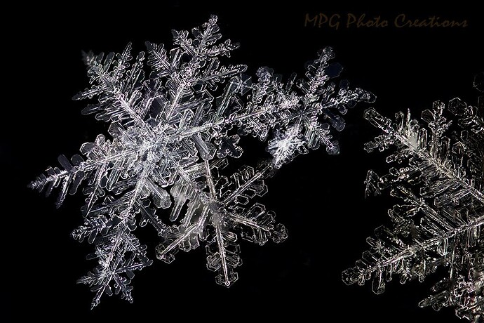 Snowflake Multi stk23