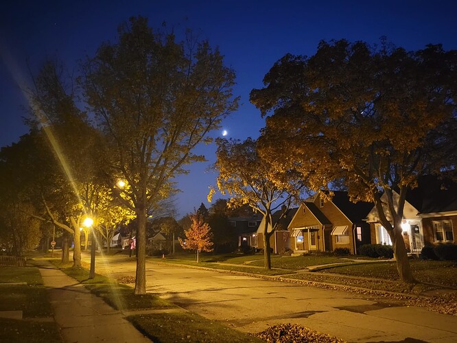 Autumn Night (1)