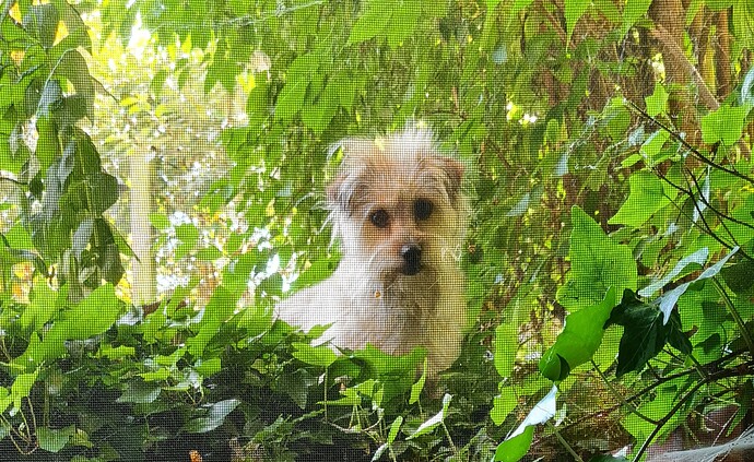 20210614_152539_edited