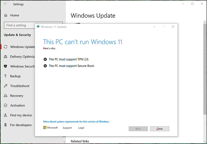 PHolder2021Jul25_WindowsPreviewUpdateTo11FailsSecureBootTPM