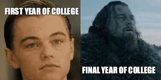 Image result for funny memes