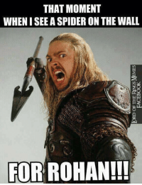 Image result for lotr clean memes