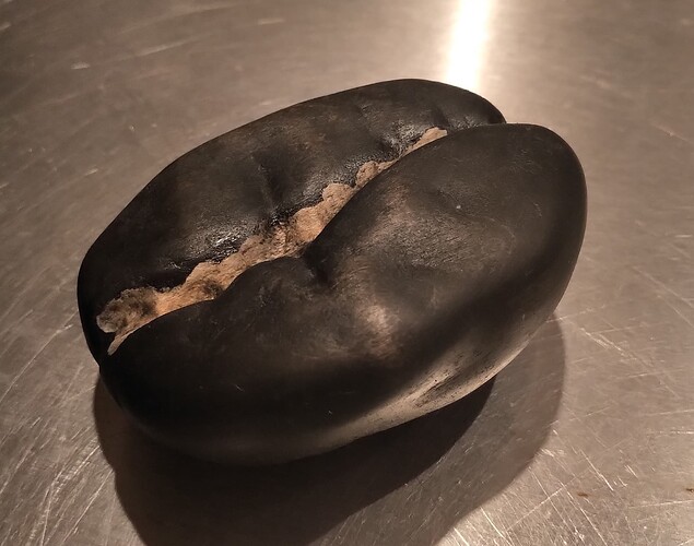 coffee bean small