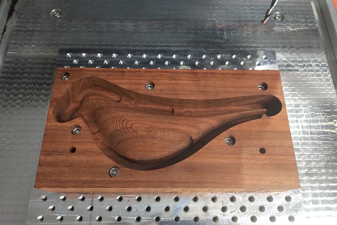 IMG_20231127_1754596