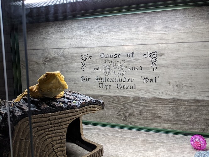 PXL_20240410_120737589