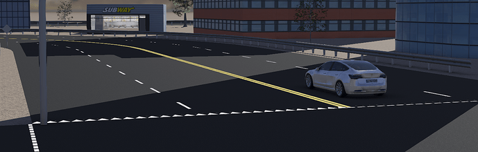 Webots Tesla Simulation