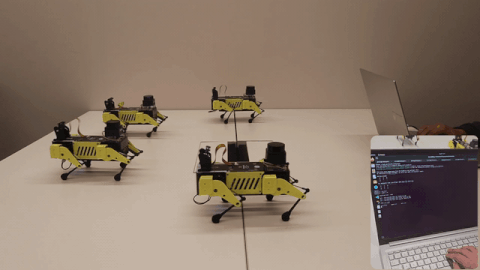 mini_pupper_fleet_480_15_resized