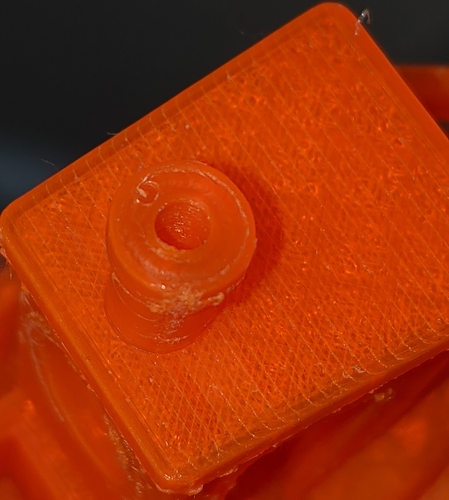 PXL_20201027_094820318