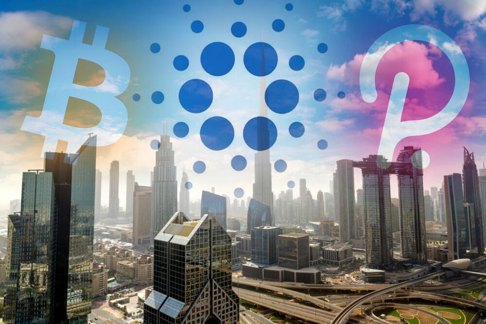 photo5028307561811650962