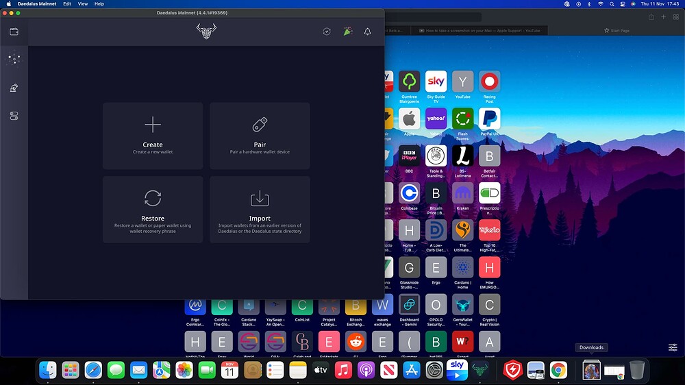 Screenshot 2021-11-11 at 17.43.09