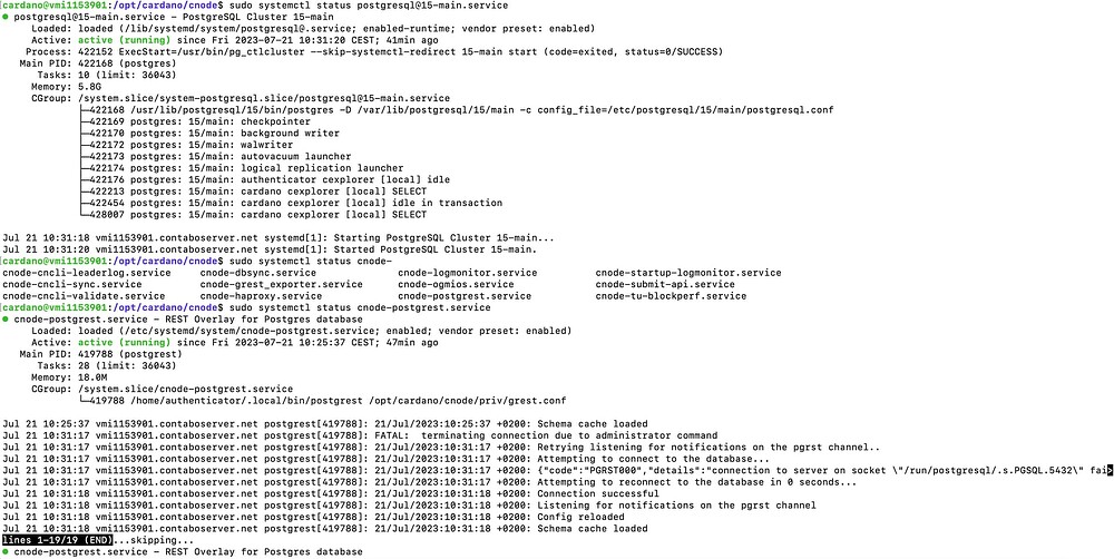 Screen Shot 2023-07-21 at 4.13.58 PM