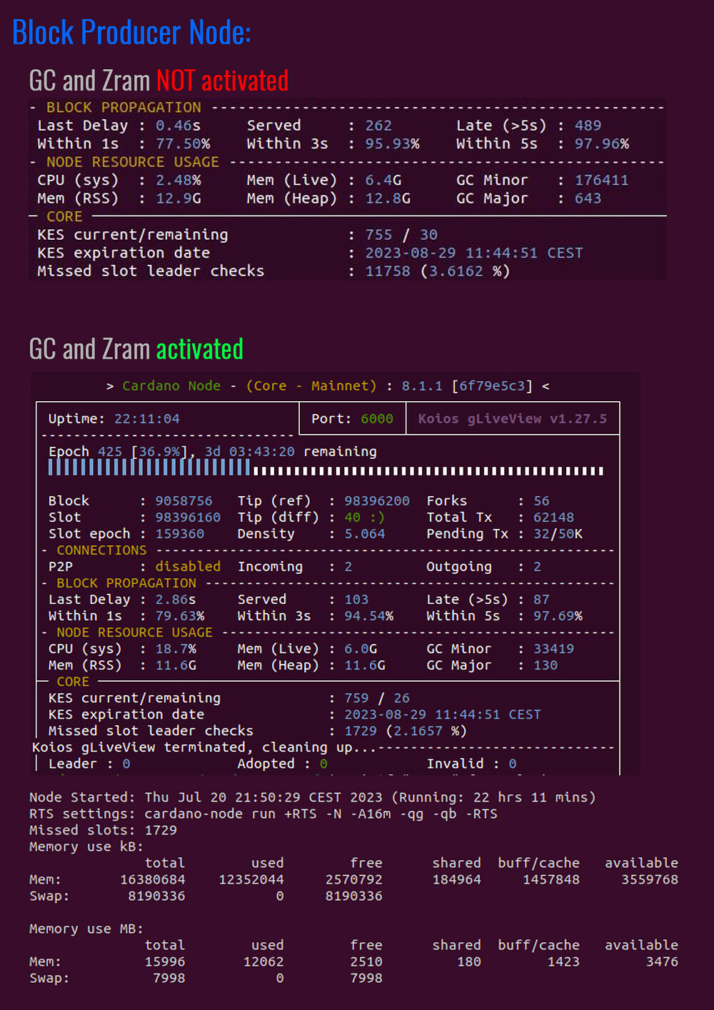 Colonystake_block-producer-node-server02_v001