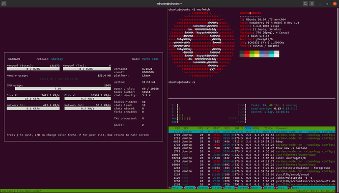 Screenshot from 2020-06-22 11-51-44