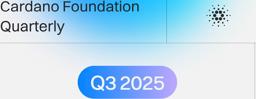 Updates from the Cardano Foundation WK44|1000xauto