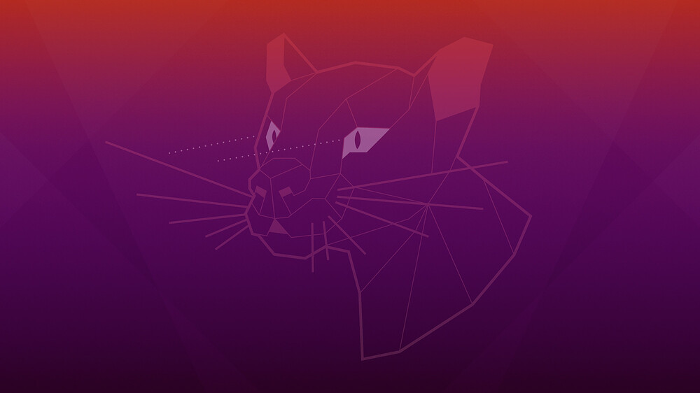 Focal-Fossa_WP_1920x1080