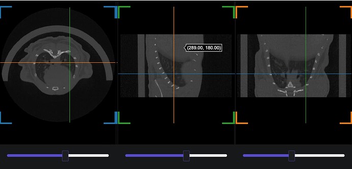 Screen Shot 2022-11-30 at 11.53.03 AM