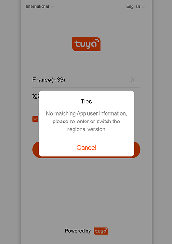 Capture d’écran 2024-10-29 193935