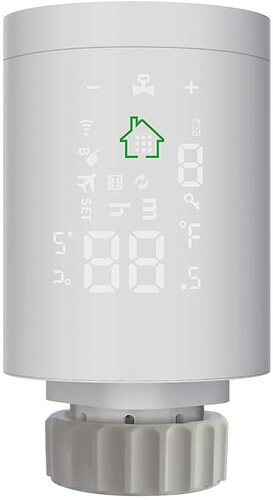 41Gp9X4NPCL.AC_SL1000