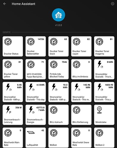 Screenshot_20210812-120052_Homey