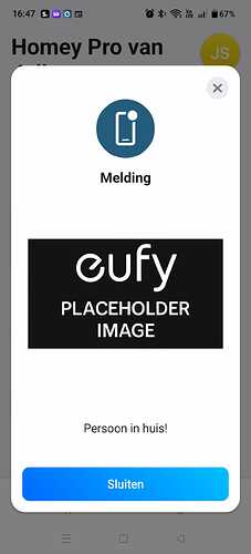 WhatsApp Image 2026-02-04 at 16.56.18