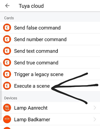 Screenshot_20220827-124807_Homey