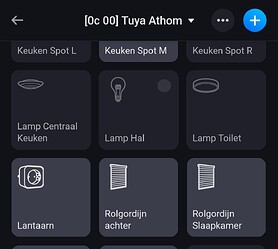 Screenshot_20251215_150225_Homey