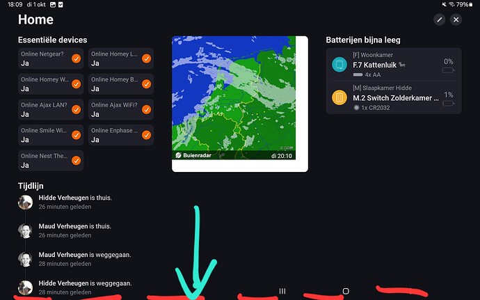 Screenshot_20241001_180951_Homey