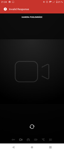 Screenshot_20210404-212423