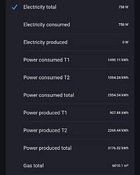 Screenshot_20260201_205308_Homey