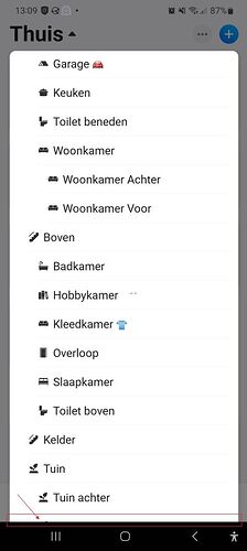 Screenshot_Homey_App