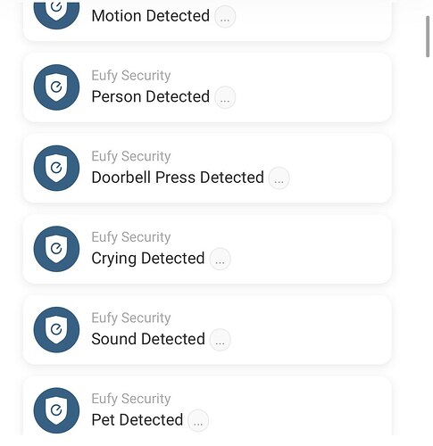 photo_2021-05-01 10.43.11