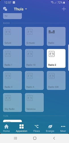 Screenshot_20191023-125742_Homey