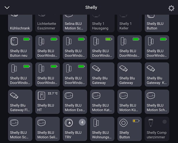 Screenshot_20250613-071001_Homey