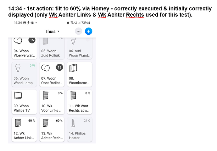 Homey Luxaflex display issue-2.png