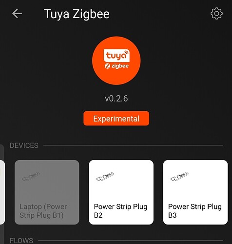 Screenshot_20221231-162743_Homey