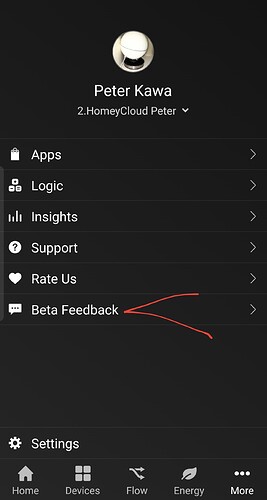 Screenshot_20220819-023907_Homey
