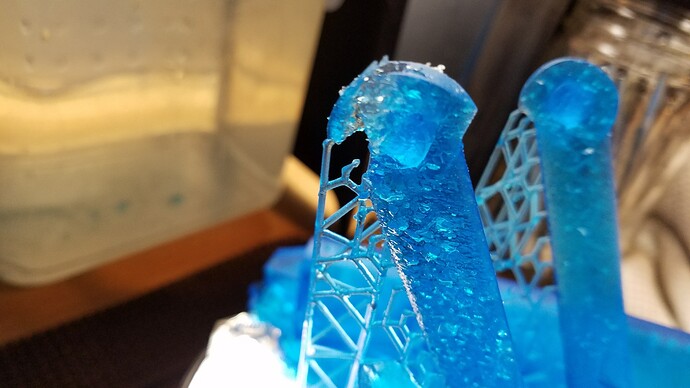 20171220_024232_resized