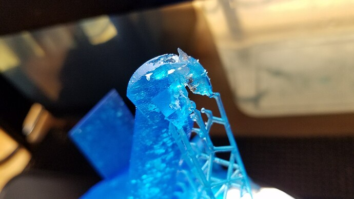 20171220_024346_resized