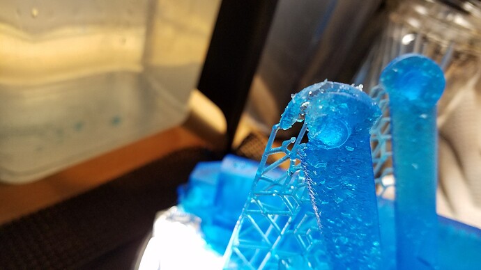 20171220_024228_resized