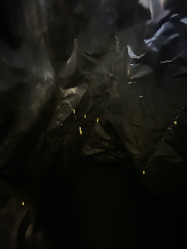 Bag Quality 2