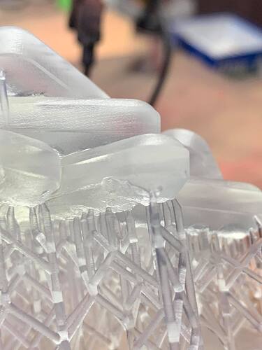 112813281_10223215190873759_8910718578956868757_o