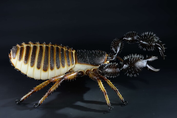 Pseudoskorpion-1