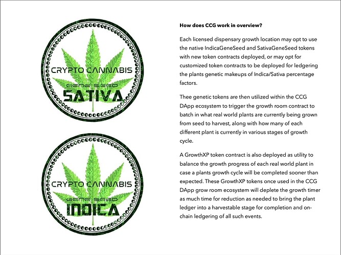 Crypto Cannabis Grow Pitch Deck Pg 4