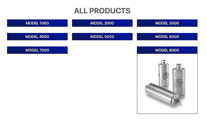 Screen Shot 2021-08-19 at 12.22.17 PM