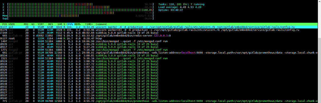 Gitlab 9.3.X CPU 100% usage - How to Use GitLab - GitLab Forum