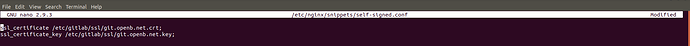 self-signed-snippets