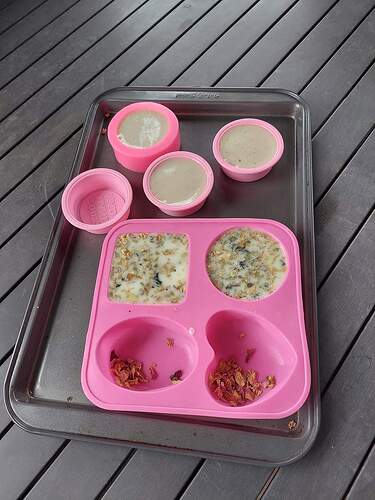 FB_IMG_1674391317509