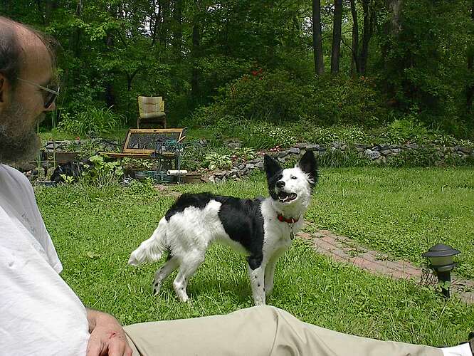020508GardenDogs 003